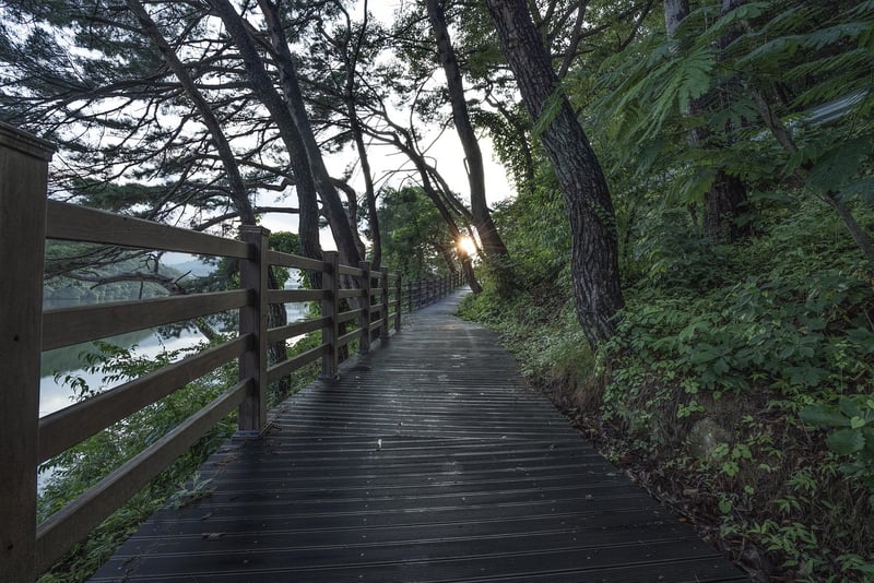 Nature Trail Walks